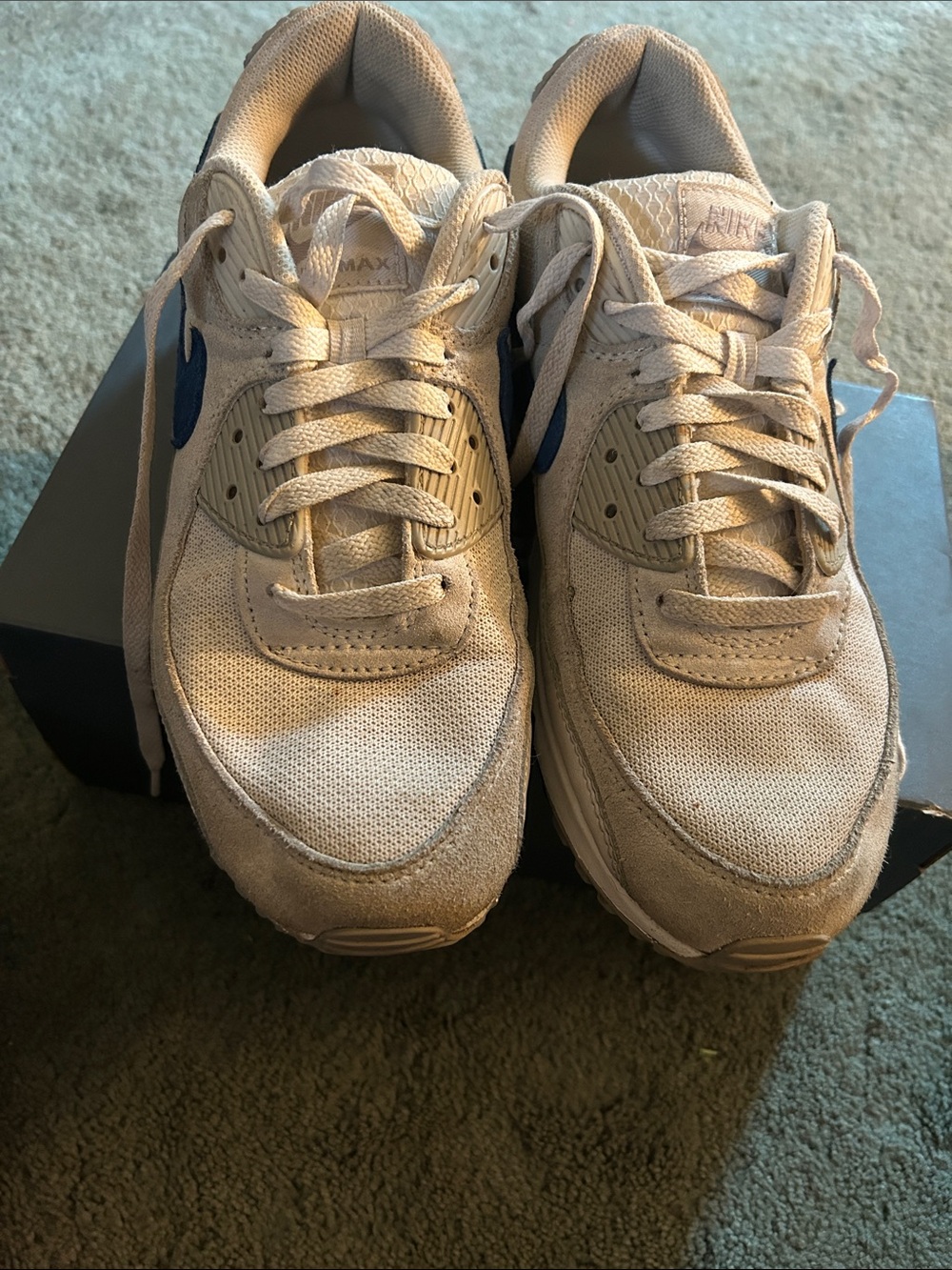 Nike Men's Beige & Blue Casual Sneakers